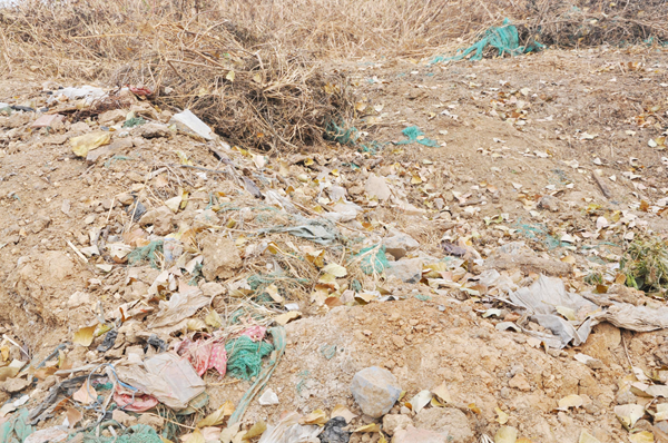 20201215092822358 20201215092822358