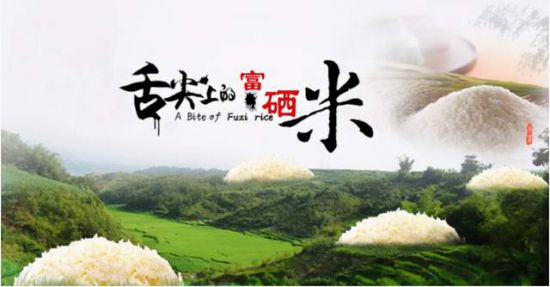 03fecb69cfee48269526df07910d53e6 03fecb69cfee48269526df07910d53e6