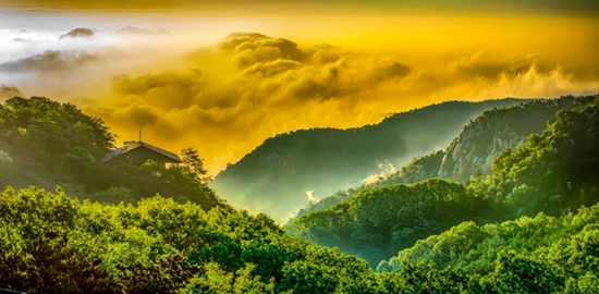 石头记——读沂蒙老杆(翟小锋)的摄影集《大地母亲的恩赐》