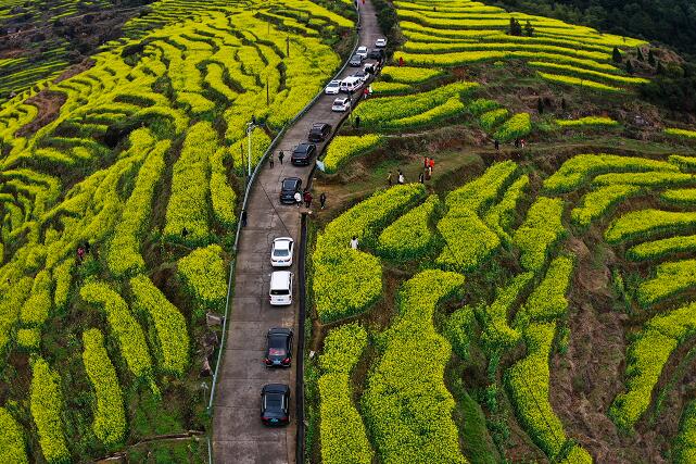 1616659740494050073.jpg 8.jpg