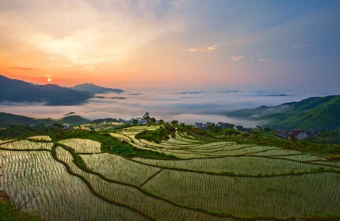 1616659867760002313.jpg 6.jpg