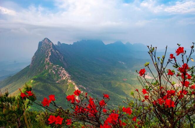 1616659679322027612.jpg 2.jpg