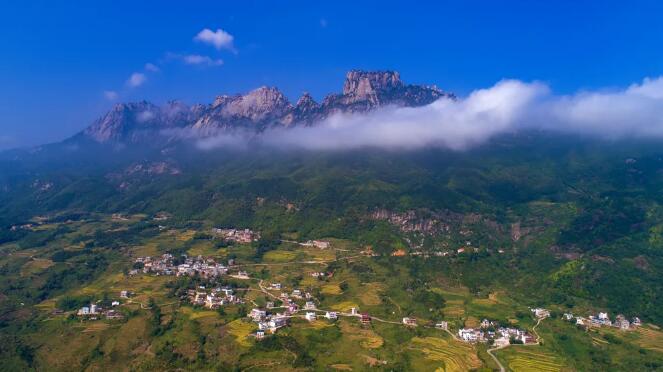 1616659696322026625.jpg 3.jpg