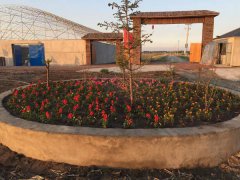 吉林农安:曾经美好的久盛农庄一夜被毁谁之责?